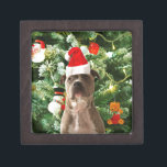 Pitbull Dog Christmas Tree Ornaments Snowman Gift Box<br><div class="desc">Pitbull Dog Christmas Tree Ornaments Snowman Doormat.Cute Pitbull Dog with Christmas Tree Ornaments Snow Man in background.</div>