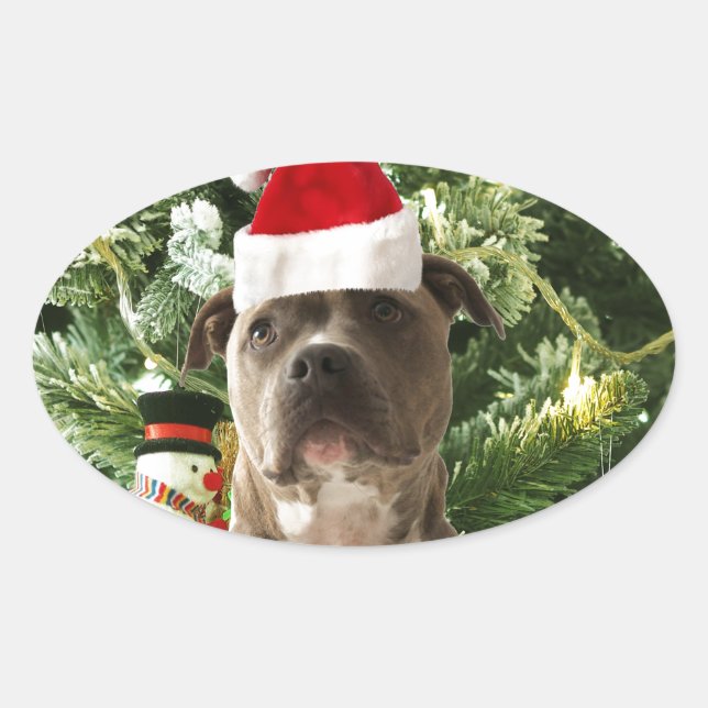 Pitbull Dog Christmas Tree Ornaments Snowman Oval Sticker (Front)