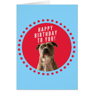 Happy Birthday Pitbull Cards, Photocards, Invitations &amp; More