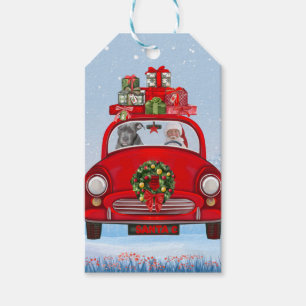 Pitbull Dog In Car With Santa Claus  Gift Tags
