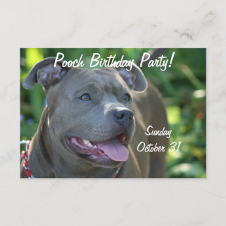 Pitbull dog invitation