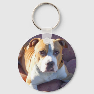 Pitbull Dog Keychain