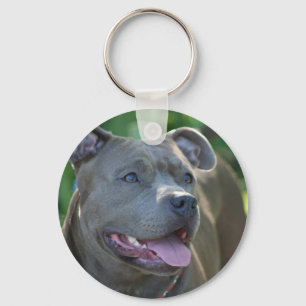 Pitbull dog keychain