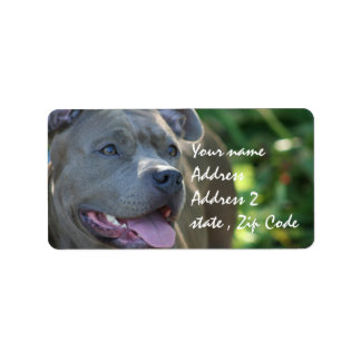 Pitbull Dog Label