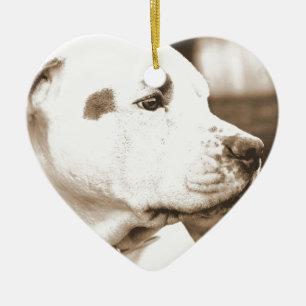 pitbull dog sepia colour hate deed not breed ceramic ornament