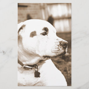 pitbull dog sepia colour hate deed not breed stationery