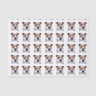 Pitbull dog tissue paper