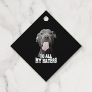 Pitbull dog to all my hates favour tags