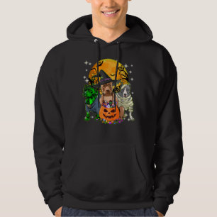 Pitbull Dog Witch Halloween Costumes Pumpkin Mummy Hoodie