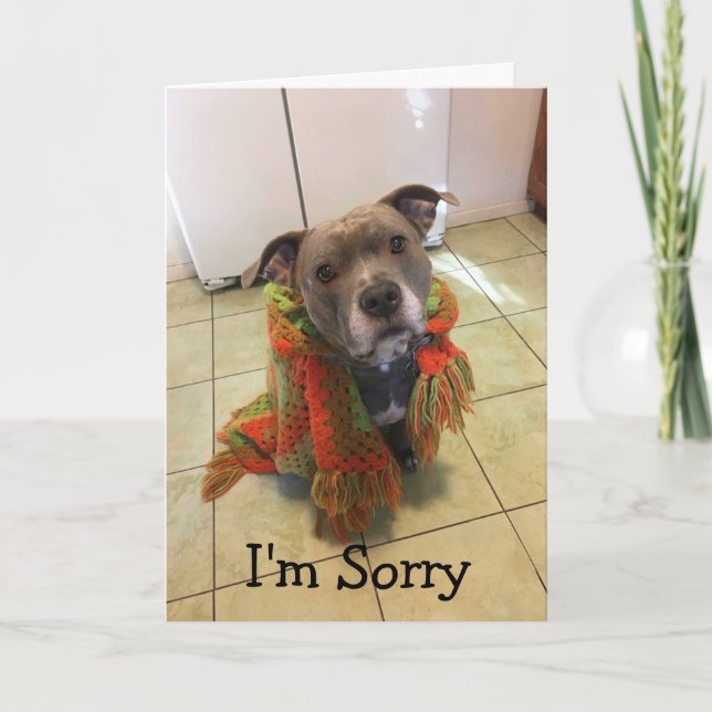 Pitbull Doghouse I'm Sorry Card (Front)