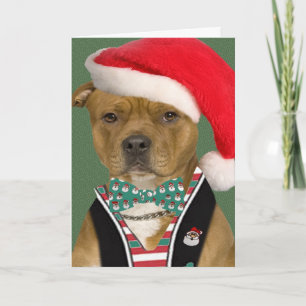 Pitbull Dresses for Santa Holiday Card