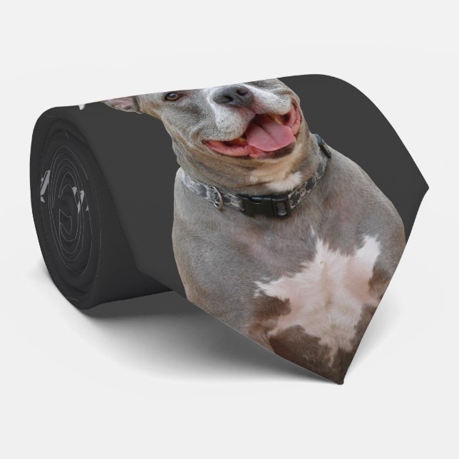 Pitbull Ear to Ear Smile Necktie (Rolled)