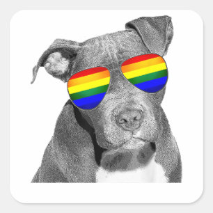 Pitbull Gay Pride Dog Clothing LGBT Funny Gift Rai Square Sticker