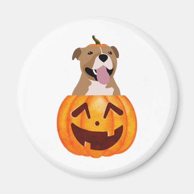 Pitbull Halloween    Magnet (Front)