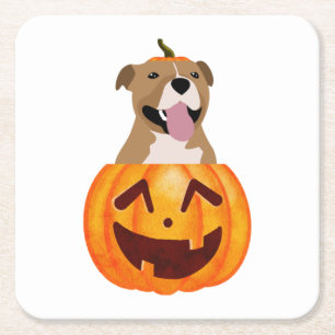 Pitbull Halloween Square Paper Coaster