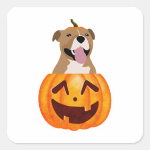 Pitbull Halloween Square Sticker