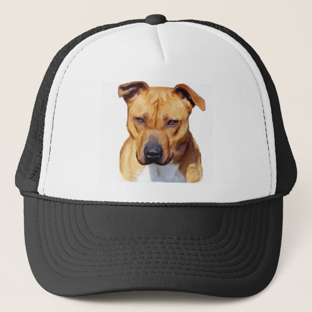 Pitbull hat (Front)