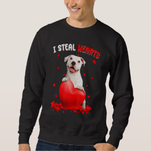 Pitbull I Steal Hearts Cute Dog Hug Heart Valentin Sweatshirt