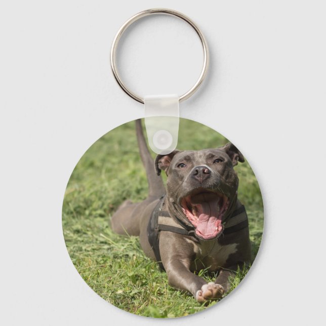 Pitbull In Grass Keychain (Front)