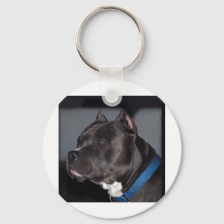 Pitbull Keychain