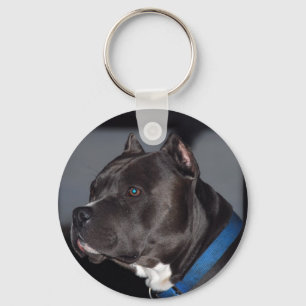Pitbull Keychain