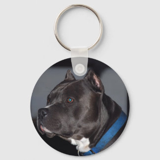 Pitbull Keychain