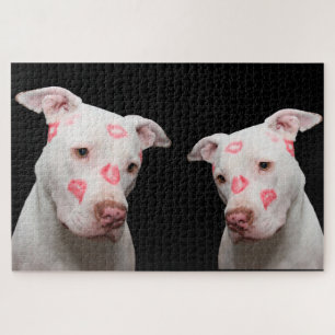Pitbull Kisses Jigsaw Puzzle