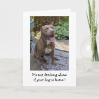 Pitbull Love Funny
