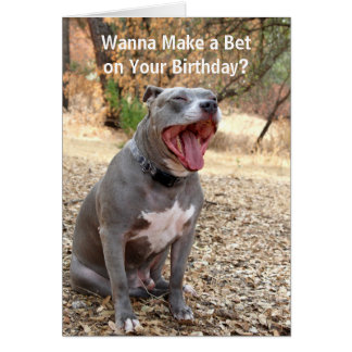 Happy Birthday Pitbull Cards, Photocards, Invitations &amp; More
