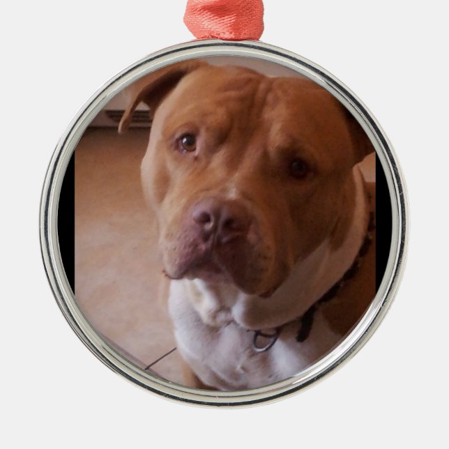 pitbull metal ornament (Front)