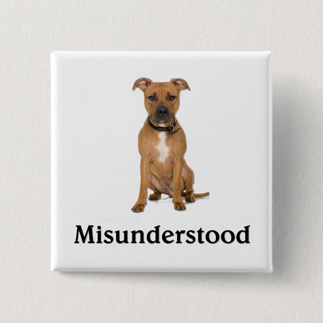 Pitbull - Misunderstood 2 Inch Square Button (Front)