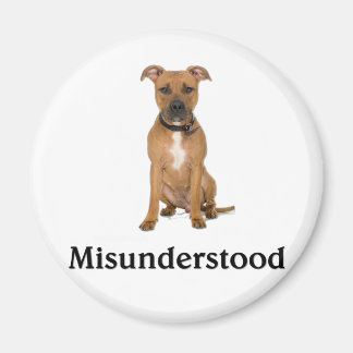 Pitbull - Misunderstood Magnet