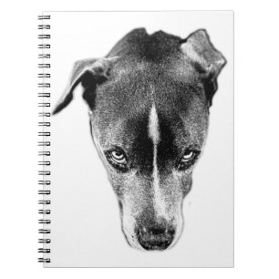 Pitbull Mix Gaze Black and White Art Notebook