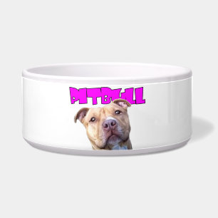 Pitbull Mom Dog