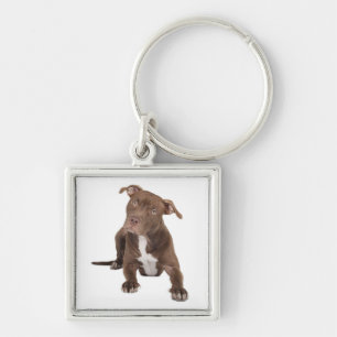 Pitbull Mom Puppy Dog Rescue Adoption Pit Bull Dad Keychain