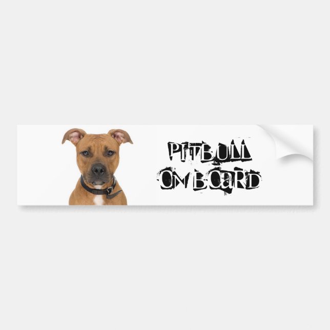 Pitbull on Board Bumper Sticker (Front)