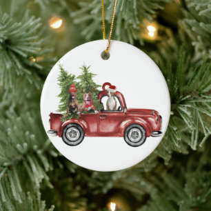 Pitbull On Car Christmas Ornament Funny Xmas Gifts