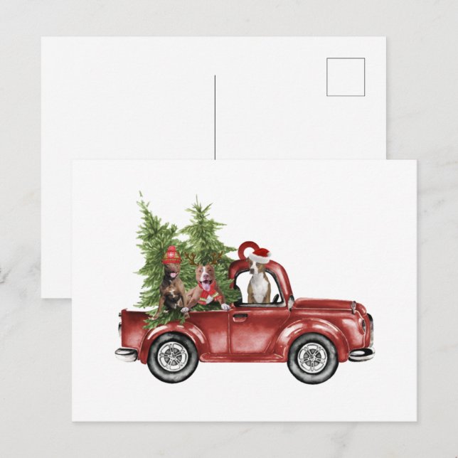 Pitbull On Car Christmas Ornament Funny Xmas Gifts Postcard (Front/Back)
