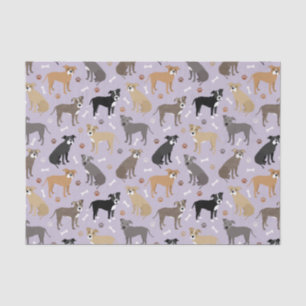 Pitbull Paws and Bones Tissue Paper