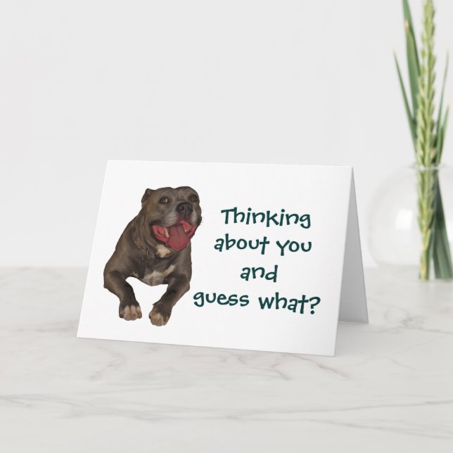 Pitbull Penser À Votre Carte De Voeux (Devant)