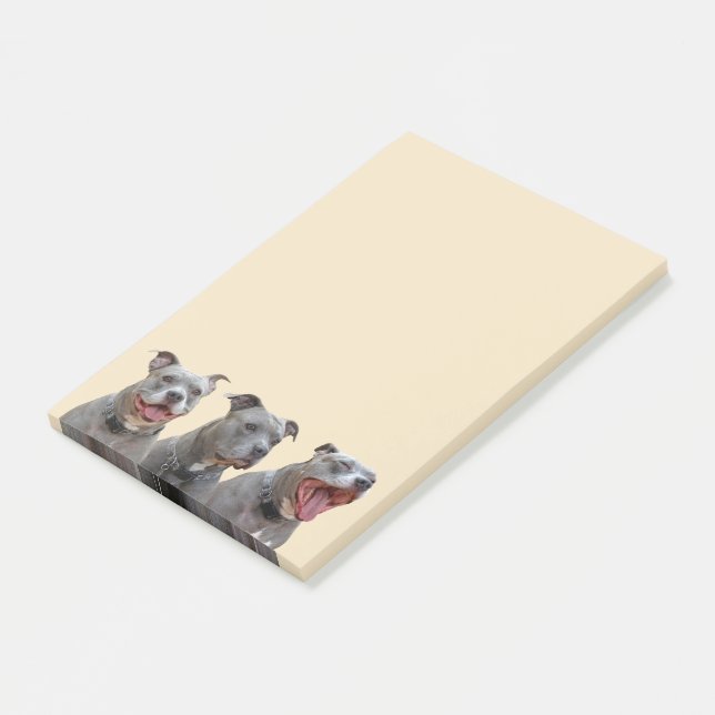 Pitbull Personalities Notes (Angled)