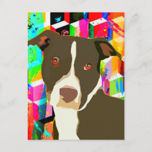Pitbull Portrait Pop Art Postcard