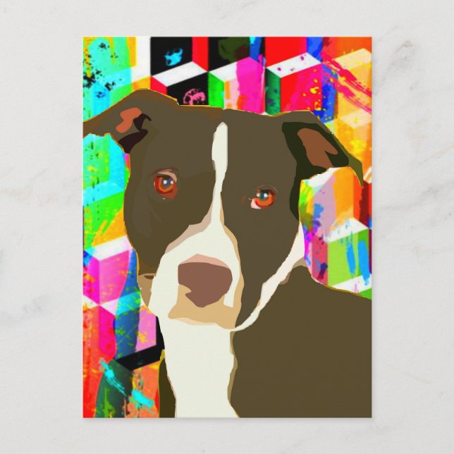 Pitbull Portrait Pop Art Postcard (Front)