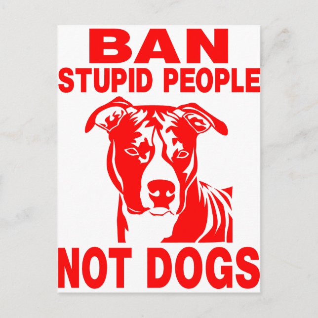 PITBULL POSTCARD (Front)