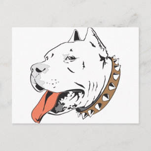 Pitbull Postcard