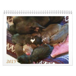 Pitbull Puppies Grow up Calendar