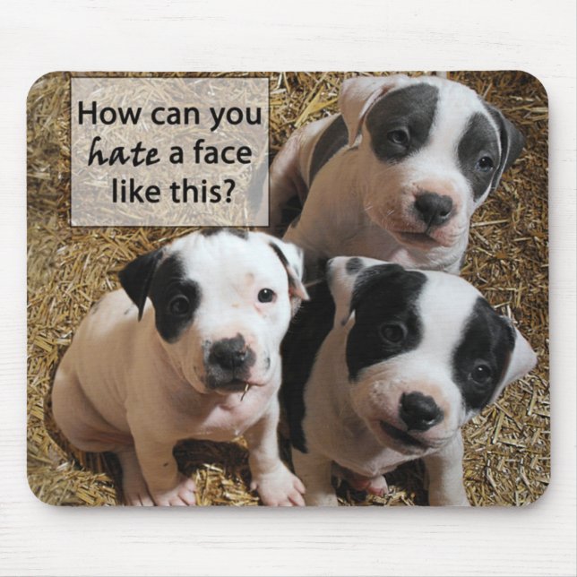 PitBull Puppies Mousepad (Front)