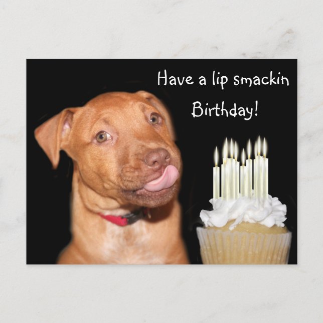 Pitbull puppy birthday postcard (Front)