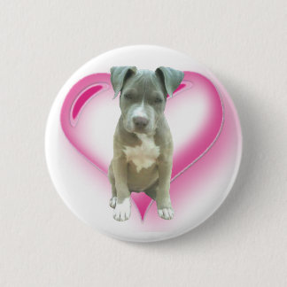 Pitbull puppy button