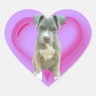 Pitbull puppy heart sticker